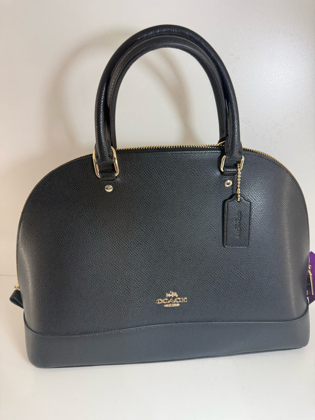Coach Alma Style Top Zip Satchel Bag