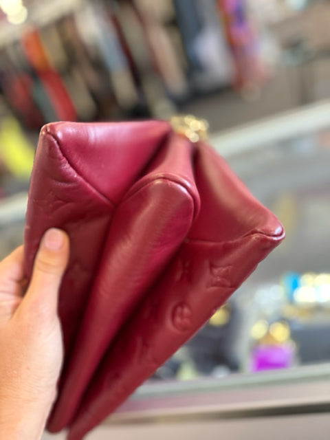 Louis Vuitton Designer Bag