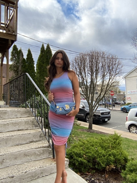 Le Superbe Fitted Dress Multi Color