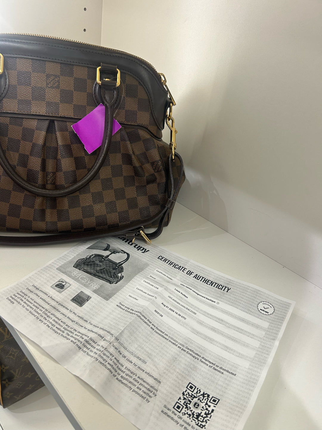 Louis Vuitton Damier Ebene Trevi PM Satchel Bag
